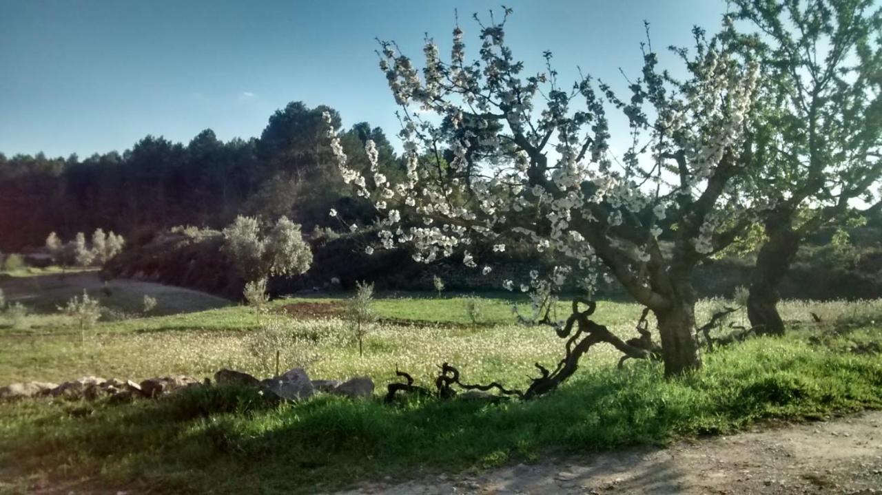 Casa Rumbet Horta de Sant Joan Exteriör bild